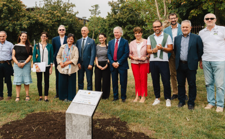  INAUGURATE LE AREE RIQUALIFICATE A BRESCIA GRAZIE AL PROGETTO “INALBERIAMOCI”