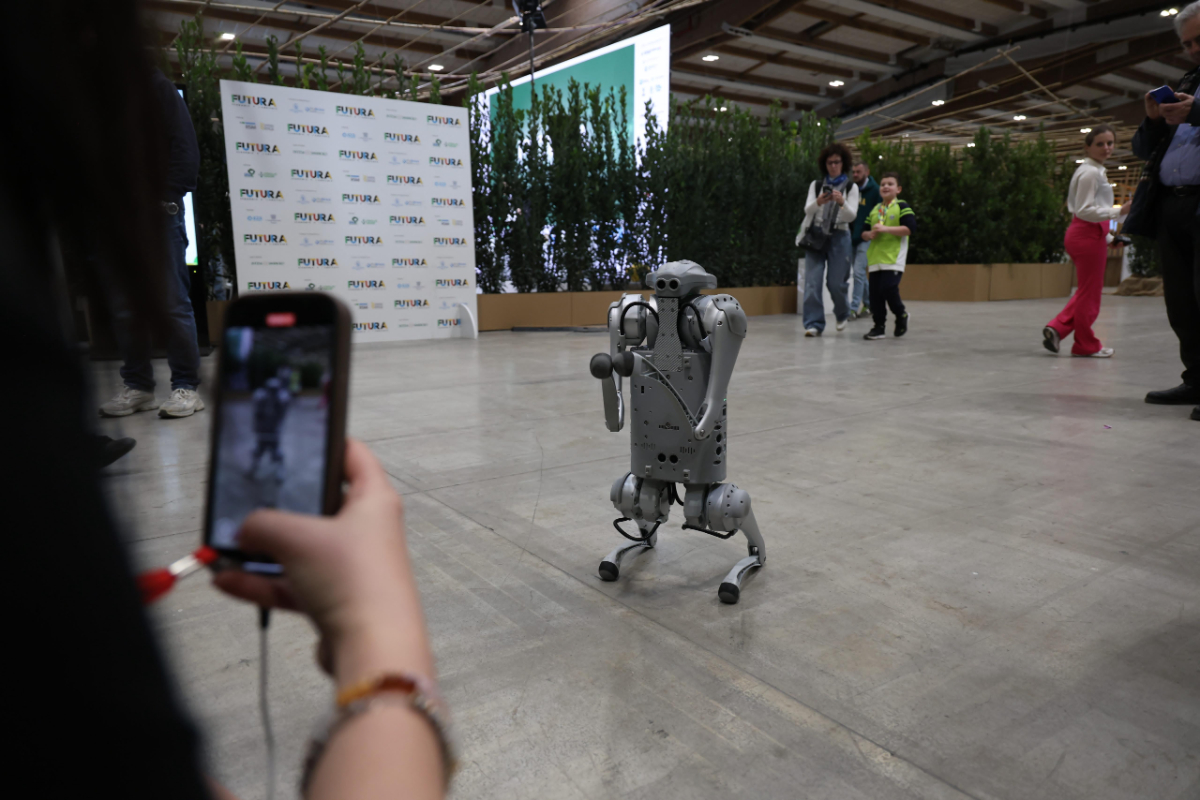 WhatsApp Image 2025-03-08 at 11.22.43