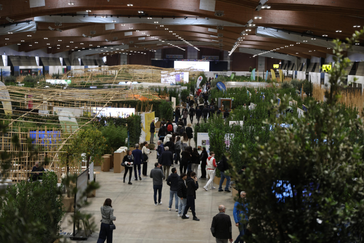 WhatsApp Image 2025-03-08 at 13.06.31 (2)